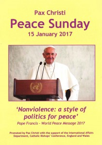 Nonviolence Training Course - Rome @ Seraphicum International College