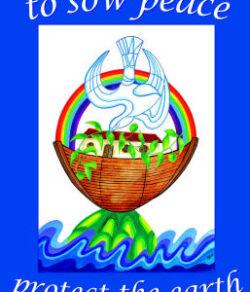 Sow Peace