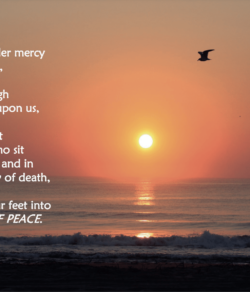 Tender Mercy cards