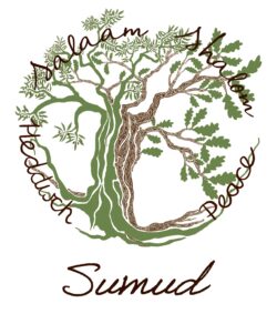 'Sumud' Prayer Card